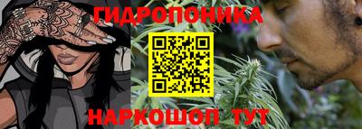 гашик Ипатово